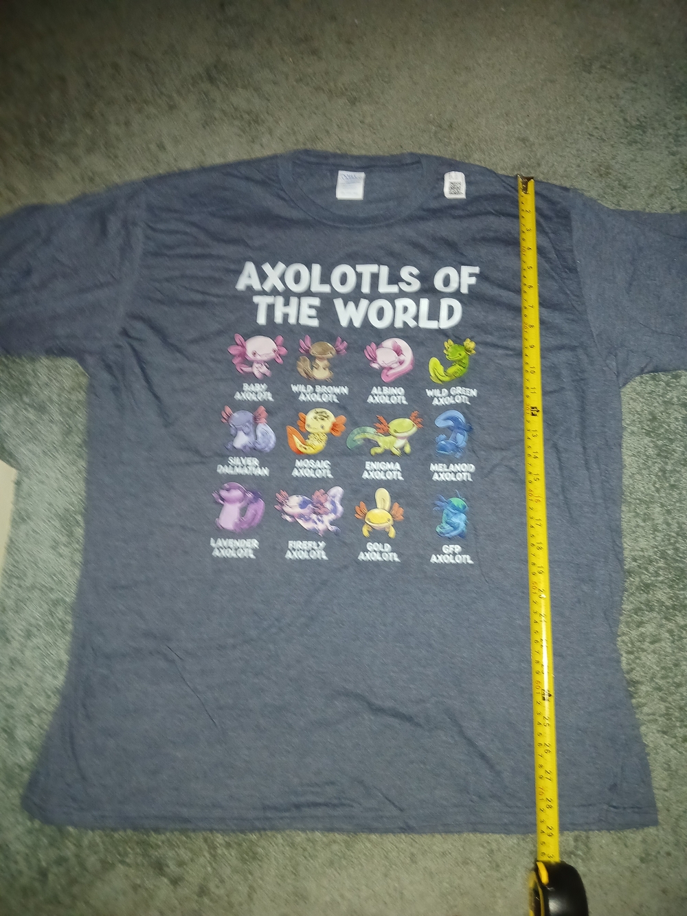 Axolotls of the World Mens 2x Graphic Tee - Gray